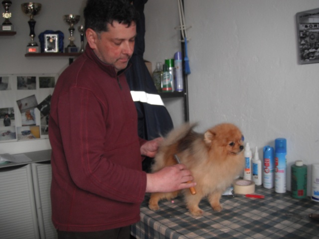 Cani
